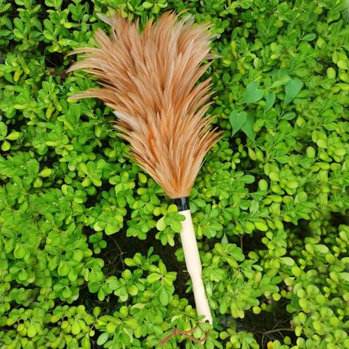 Handcrafted Premium Rooster Feather Duster with Wooden Handle, Long Handle Natural Dust Cleaner, Fluffy Natural Perfect to Clean Home, Furniture eco Friendly