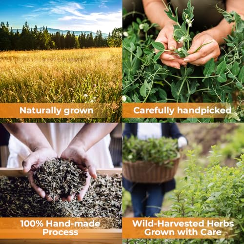 1.8 oz. Dried Marigold Flowers Bur Marigold Herb Tea Marygold Tea (Bidens Tripartite L.) - 50g 100% Chereda Bur-Marigold Cáñamo Acuático - image 9
