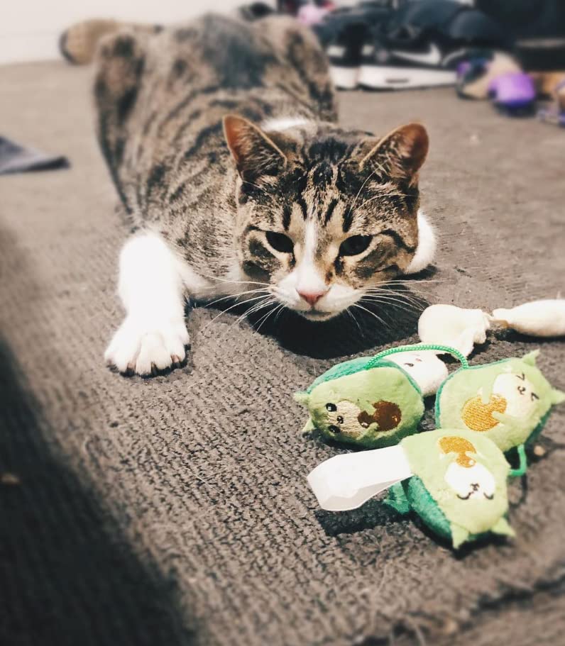 Fuzzyard Crinkle Plush Cat Toy with String and Catnip Inside (Avocatos)