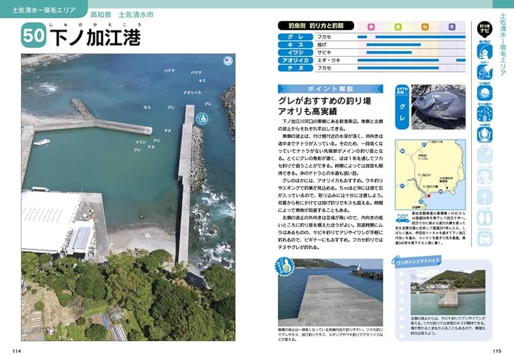 Amazon.co.jp: 空撮 波止ガイド高知版 : レジャーフィッシング編集部: 本