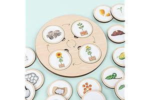 Montessori Wooden Life Cycle Puzzle Preschool Educational Game