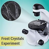 Vista 4 de IQCrew por AmScope 40X-200X Kids Inverted Microscopio compuesto para estudiantes