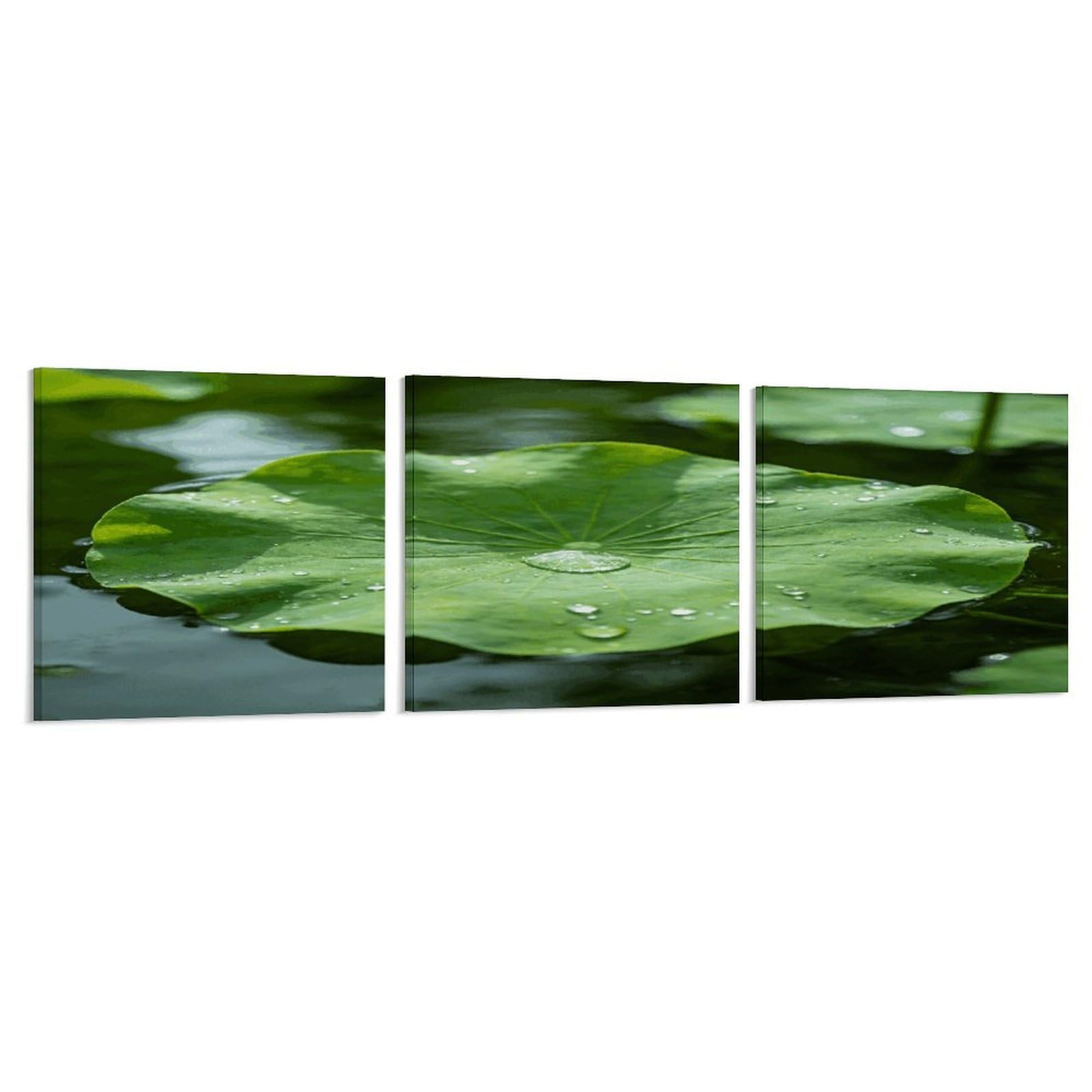 Khauerbc Style Set Of 3 Green Lotus Leaf Wall Art，Paintings Artwork For Living Room, Hallway, Bedroom, Office Wall Decor For Living Room, Hallway, Bedroom, Office Paintings Artwork 8X8 Inch