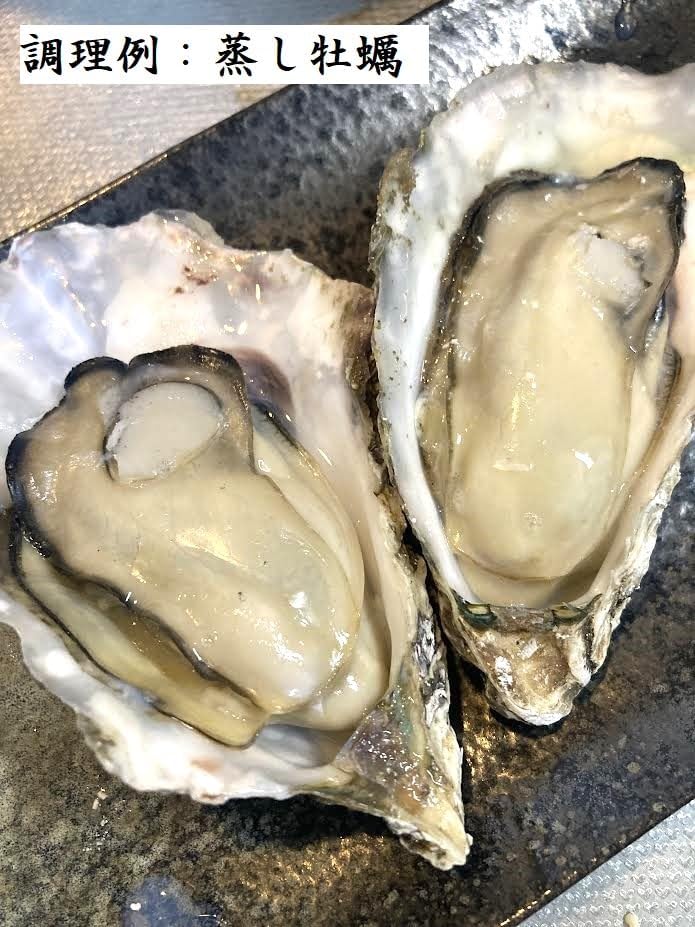 サンガッツ本舗】豊年魚（レッドシャドー） Amazon.co.jp: サンガッツ