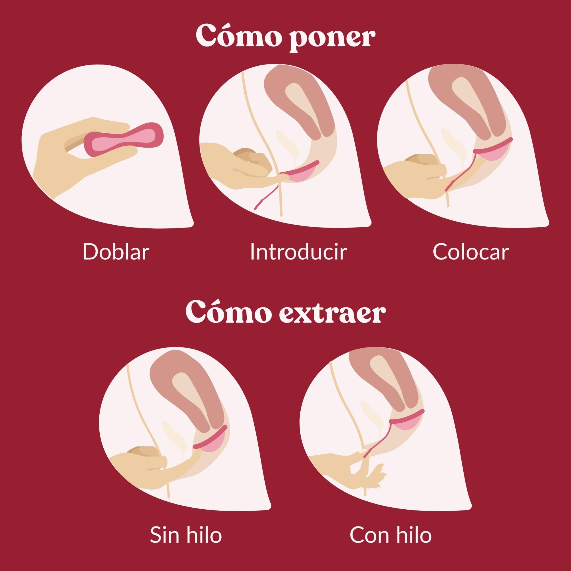 enna CYCLE DISC – Disco Menstrual Reutilizable con Hilo Removible Exclusivo, 50 ml de Capacidad, Silicona Médica Fabricada en España, Hasta 12h de Protección