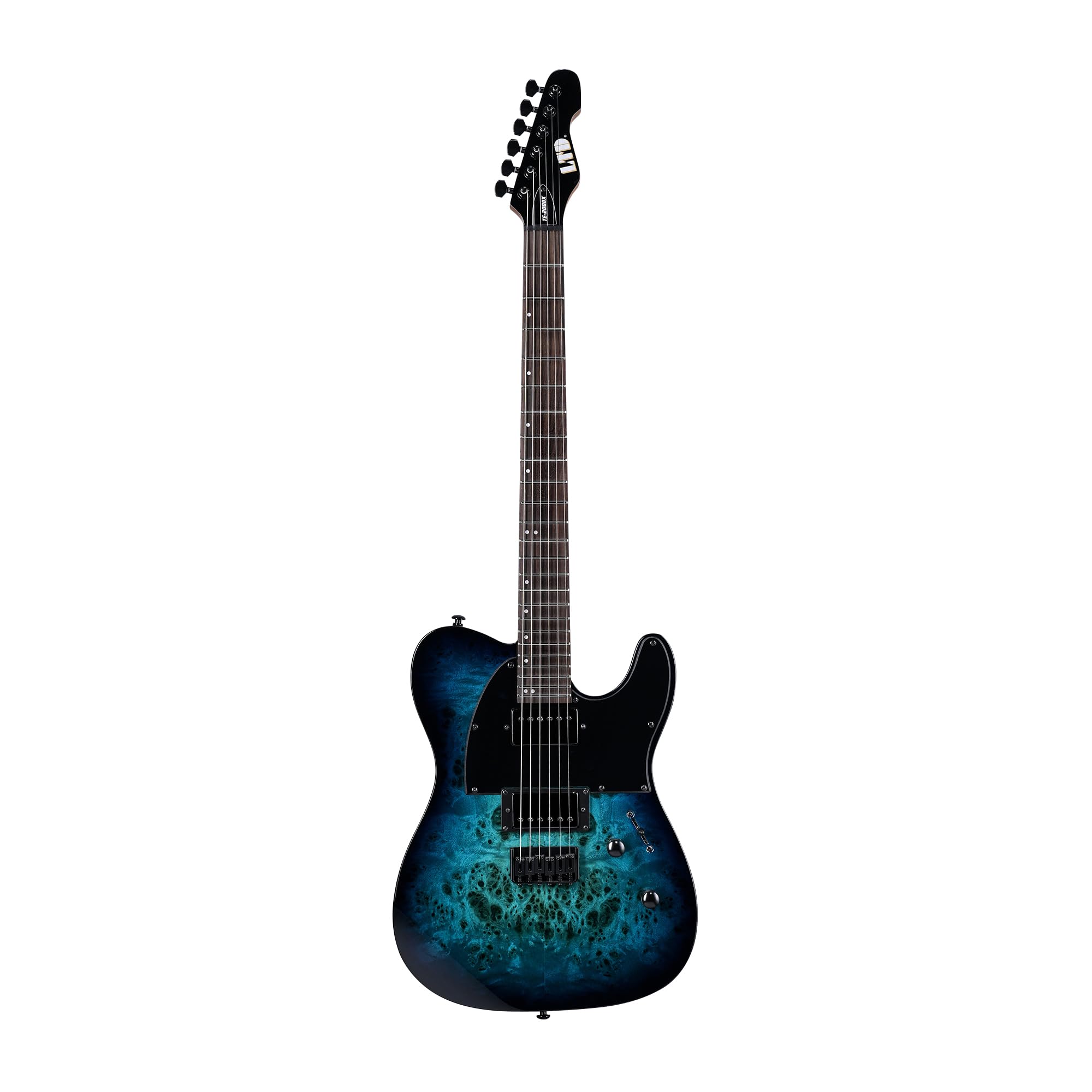 Amazon.com: ESP LTD TE-200DX Electric Guitar - Blue Burst