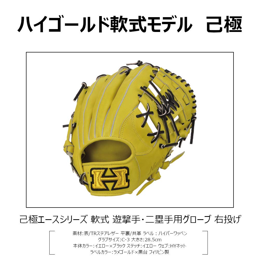 Amazon | HI-GOLD(ハイゴールド)軟式グラブ己極エース(おのれきわめ