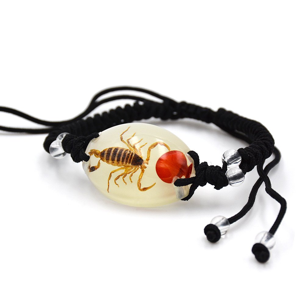 Real Scorpion Necklace, Real Scorpion Pendant Necklace