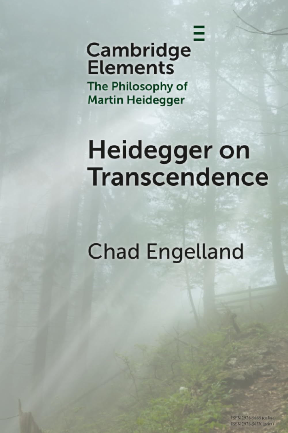 Heidegger on Transcendence Engelland Paperback Cambridge University Press