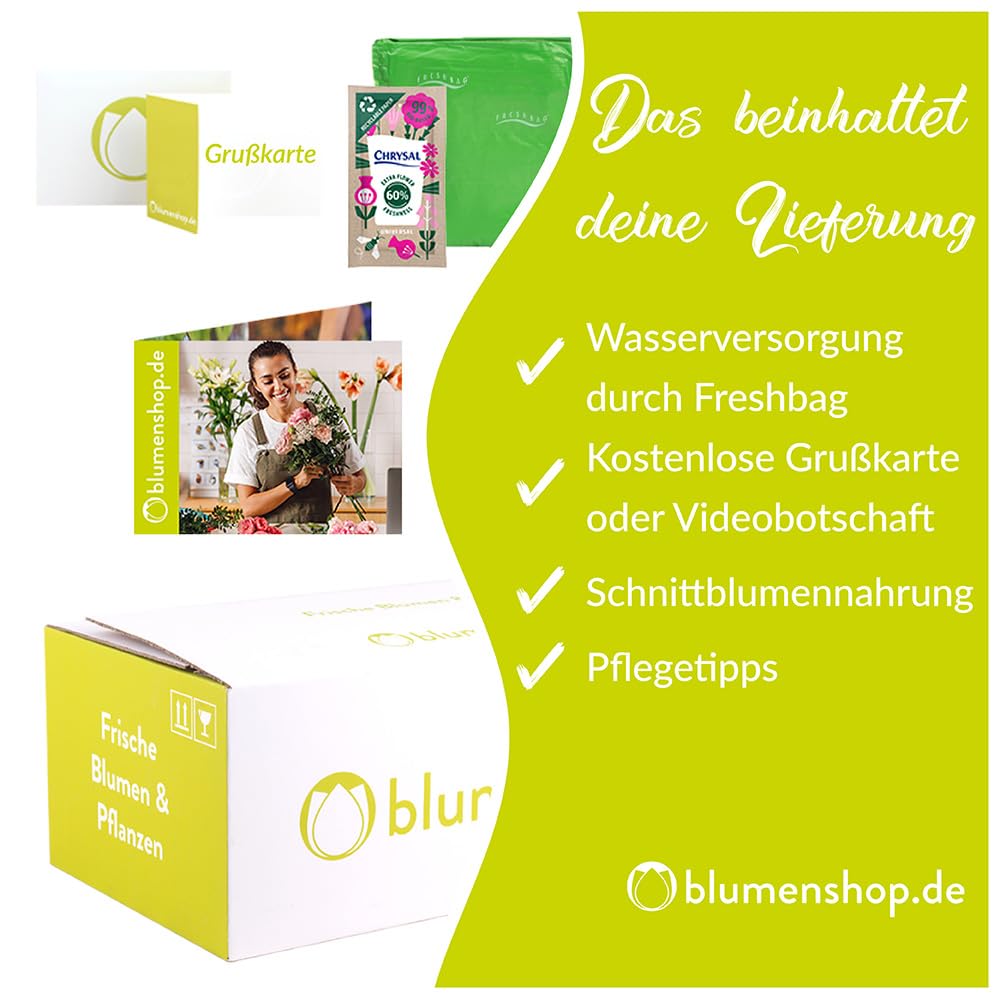 Blumenstrauß Farbenfroh, Bunte Blumen versenden, handgebunden mit 7-Tage-Frische-Garantie, Gerbera, Rosen, Nelken, Chrysanthemen und Inkalilien, Blumenversand