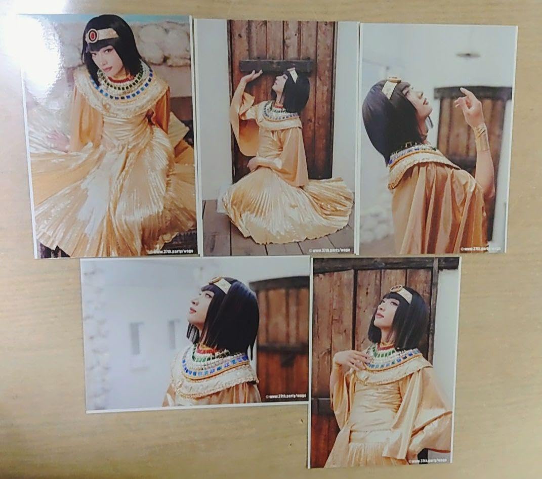 Amazon.co.jp: 和合真一 バースデー ブロマイド エジプト13 : おもちゃ