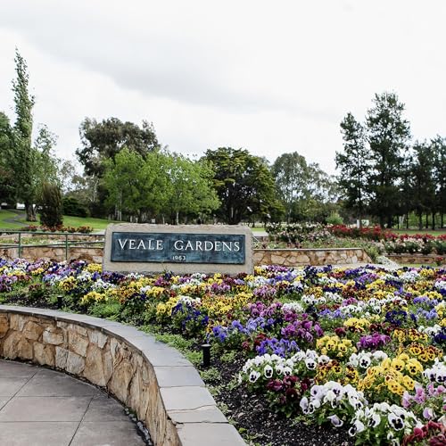 (214) Just Lawful Podcast - Still Waters Run Deep Pt.3 cover art