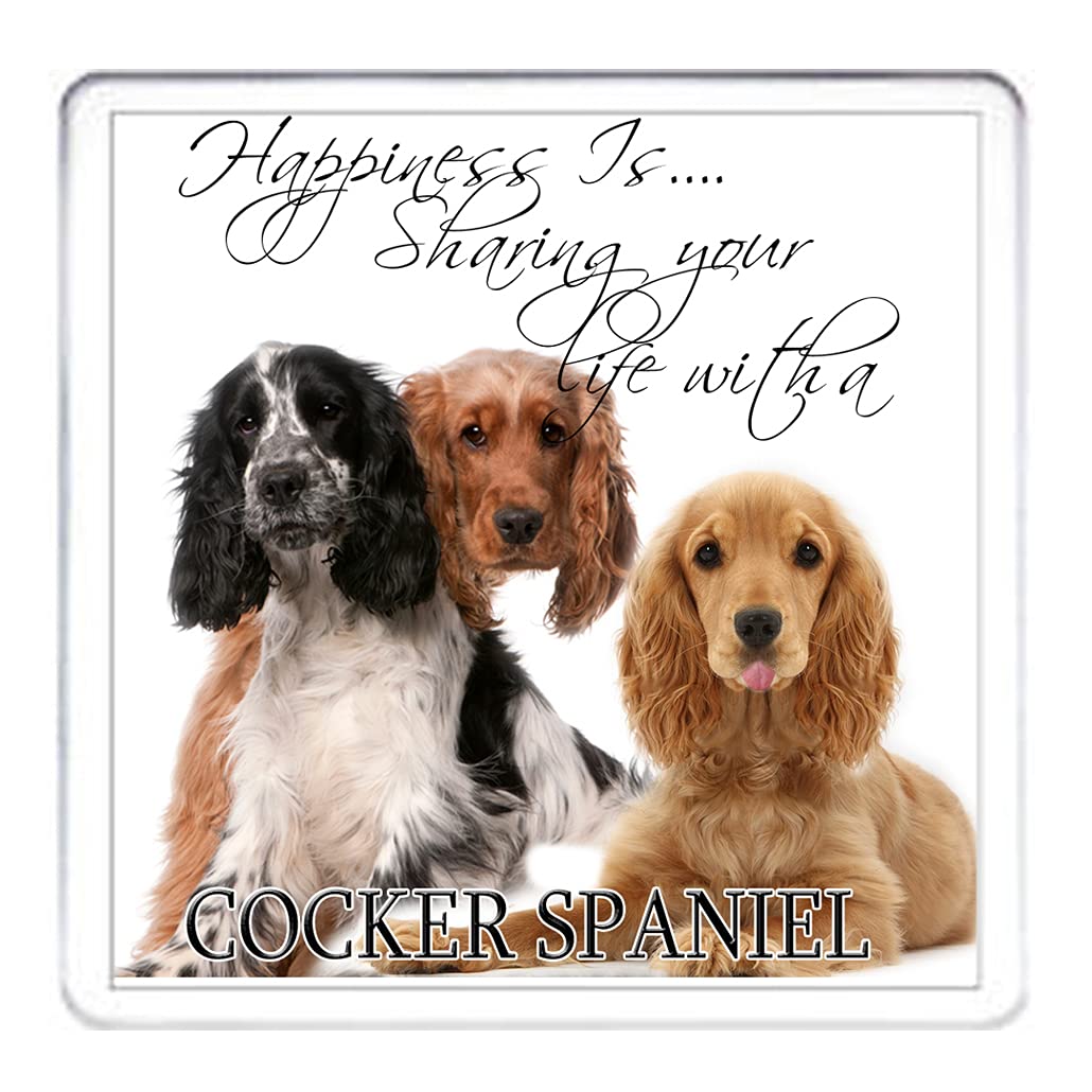 Kazmugz Brown And White Cocker Spaniel Coaster, Matching Mug Available.