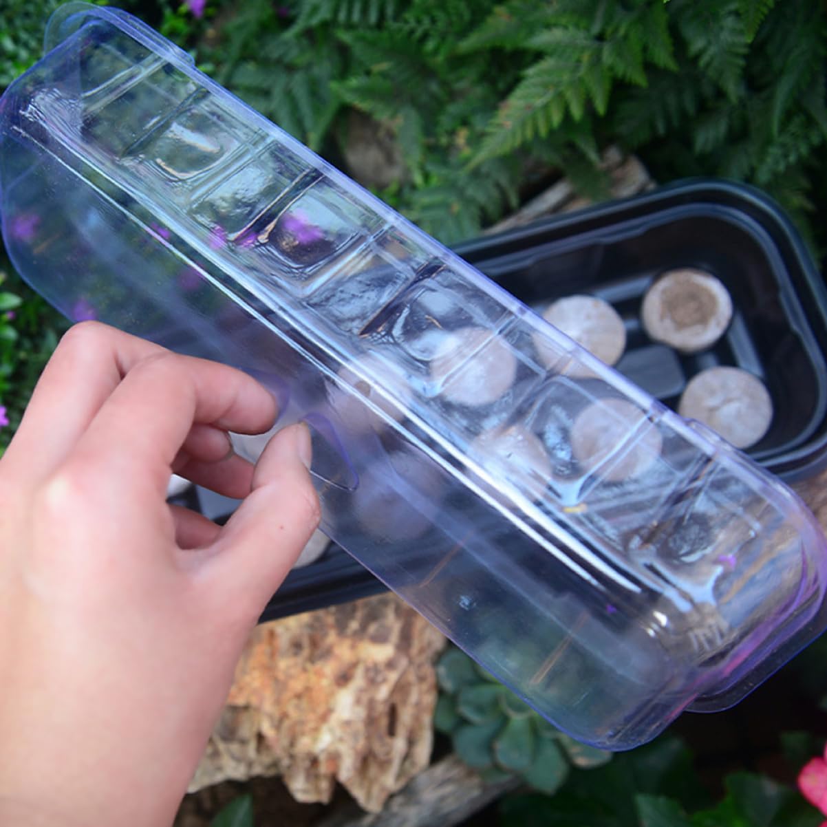 Toddmomy 12 Set Vassoi per Semina con Celle Contenitori per Germinazione Piante con Trasparente per Microgreens e per Giardinaggio e Coltivazione Lattuga