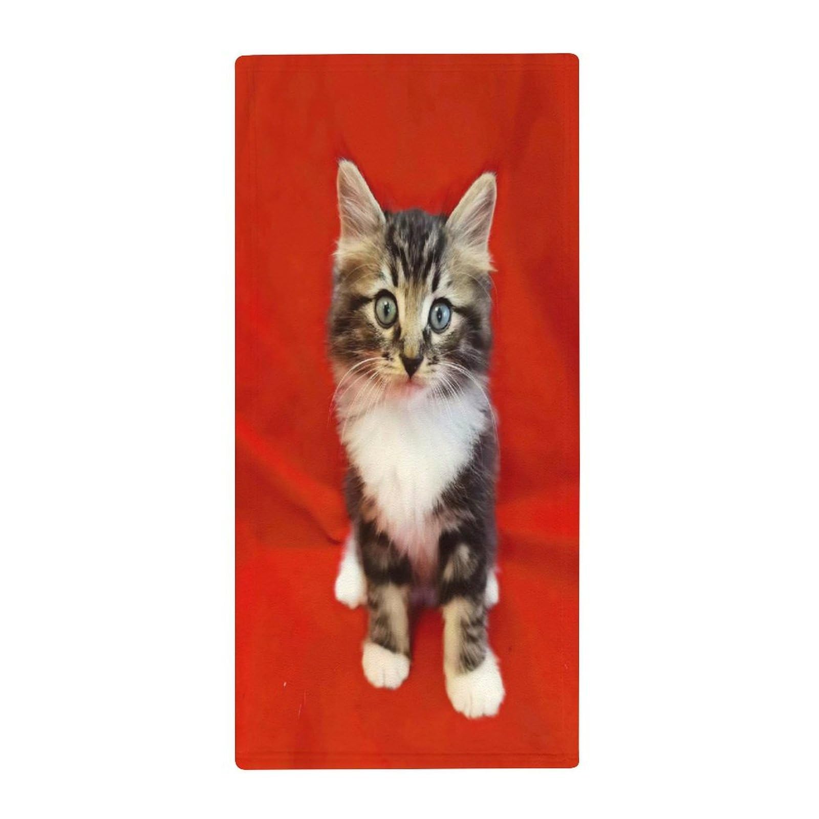 VstaDank Cat Hand Towels Ultra Soft Printed Towels Classic Coral Velvet Kitchen Hand Towel Highly Absorbent Hotel Spa Towel Collection for Bathroom Workout 13.8 X 28.7 in