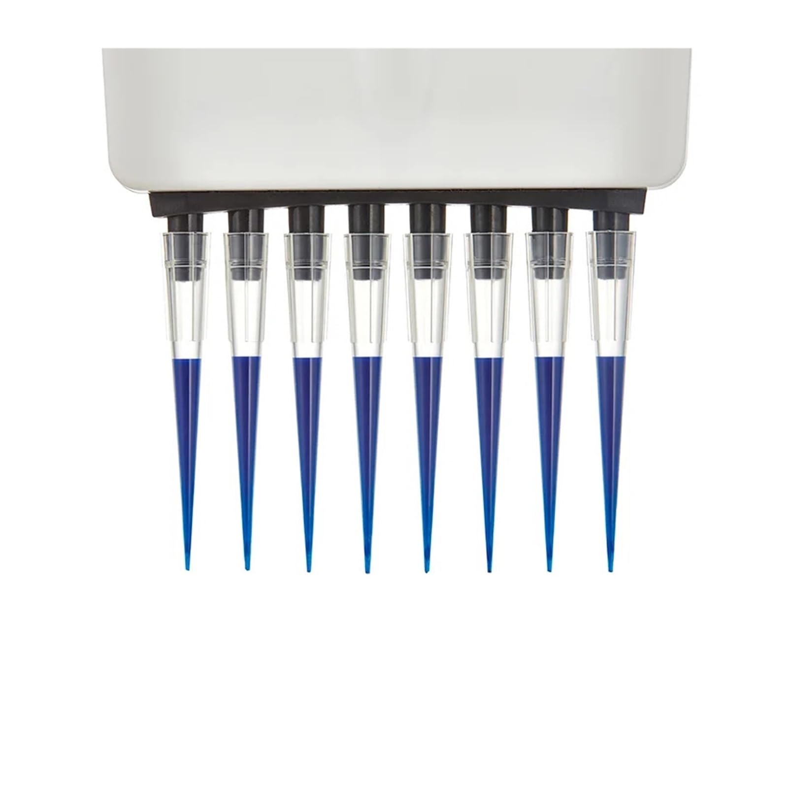 Pipette, Multifunktionale elektrische Achtkanal-Pipette Labordispenser Pipette 0,5-10ul/10-100ul/30-300ul(10-100ul)