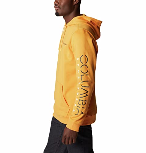 Image of Columbia Men CSC Basic Logo II Hoodie