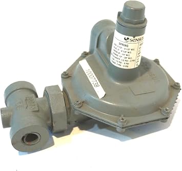 Gas Pressure Regulator