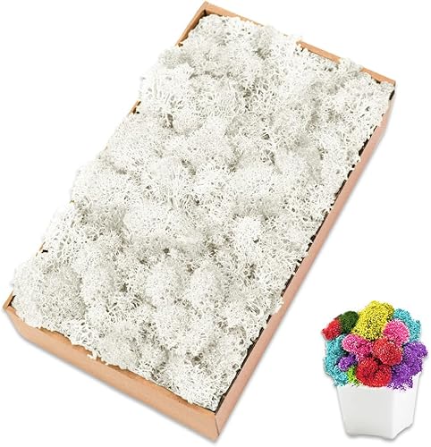 Miniatura 10 de TCYPUHL Musgo preservado para manualidades musgo de reno de Chartreuse para plantas en maceta decoración de musgo decorativo para arte de pared