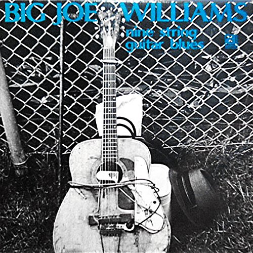 Nine String Guitar Blues