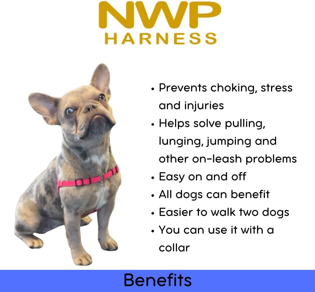 Sense-ation No-Pull Dog Harness (Black, Medium)