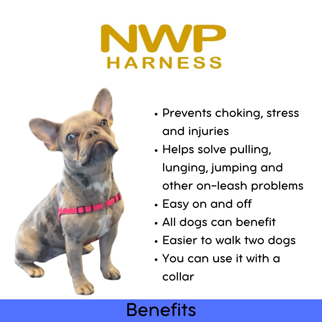 Anti Zieh Hundegeschirr - SENSEation Harness Erziehungsgeschirr - Erziehungshalsband - Reduziert Ziehen an der Leine - Medium