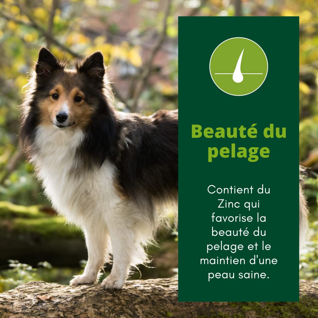 EQUILIBRE & INSTINCT - Chien Adulte - Pâtée Nourriture Humide Volaille - Transit Digestif Optimal - Recette Complète Formulée avec des Vétérinaires - 18x300g - Fabriqué en France