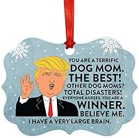 Vista 52 de Andaz Press Divertido presidente Donald Trump Fancy Frame Recuerdo Adorno de Navidad Regalo de mordaza, Perra fantástica, 1 paquete, ideas de regalo