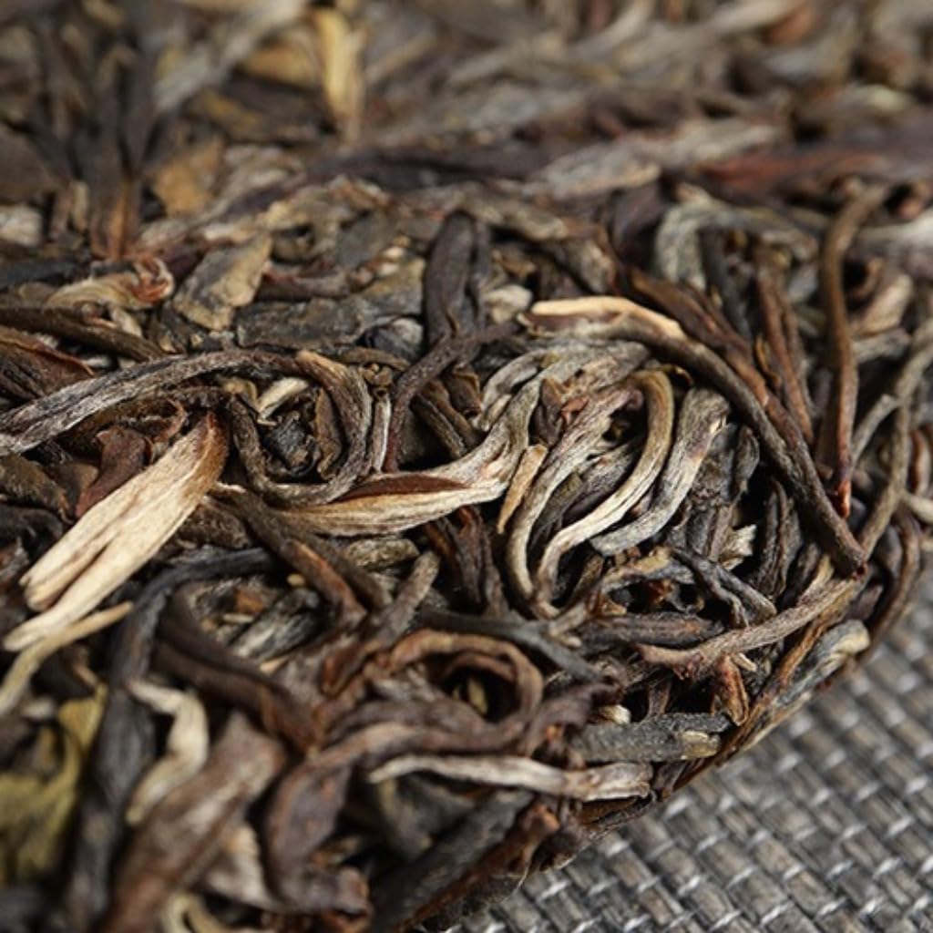Thé Pu-erh Cru D'Arbre Ancien Bingdao 357g, Vieilli Naturellement 5 Ans+