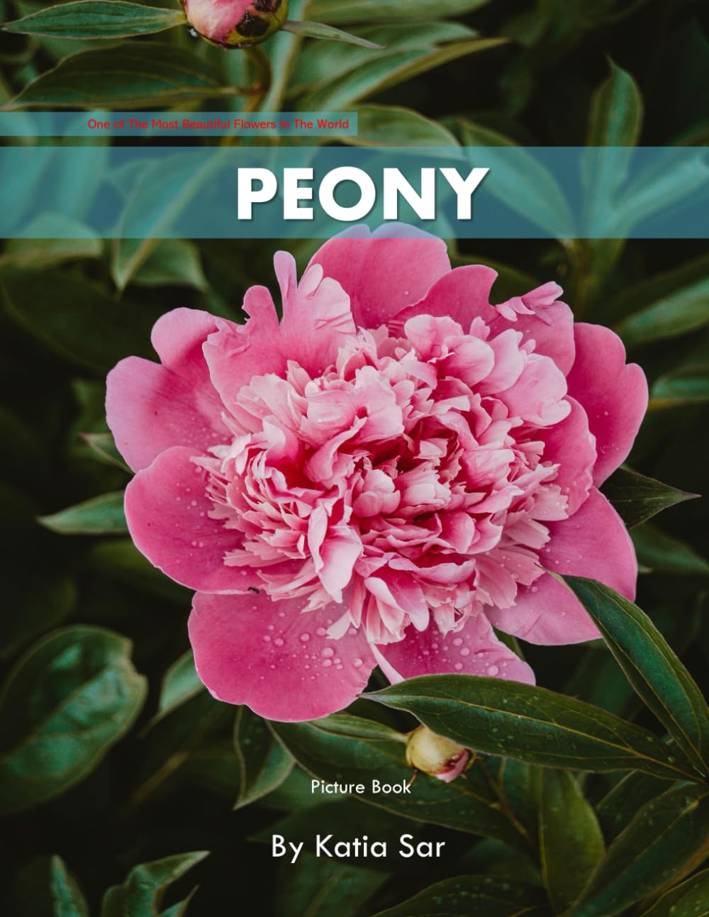 Peony: A perfect Coffee Table Picture Book - For Flower Enthusiasts and Gardeners .