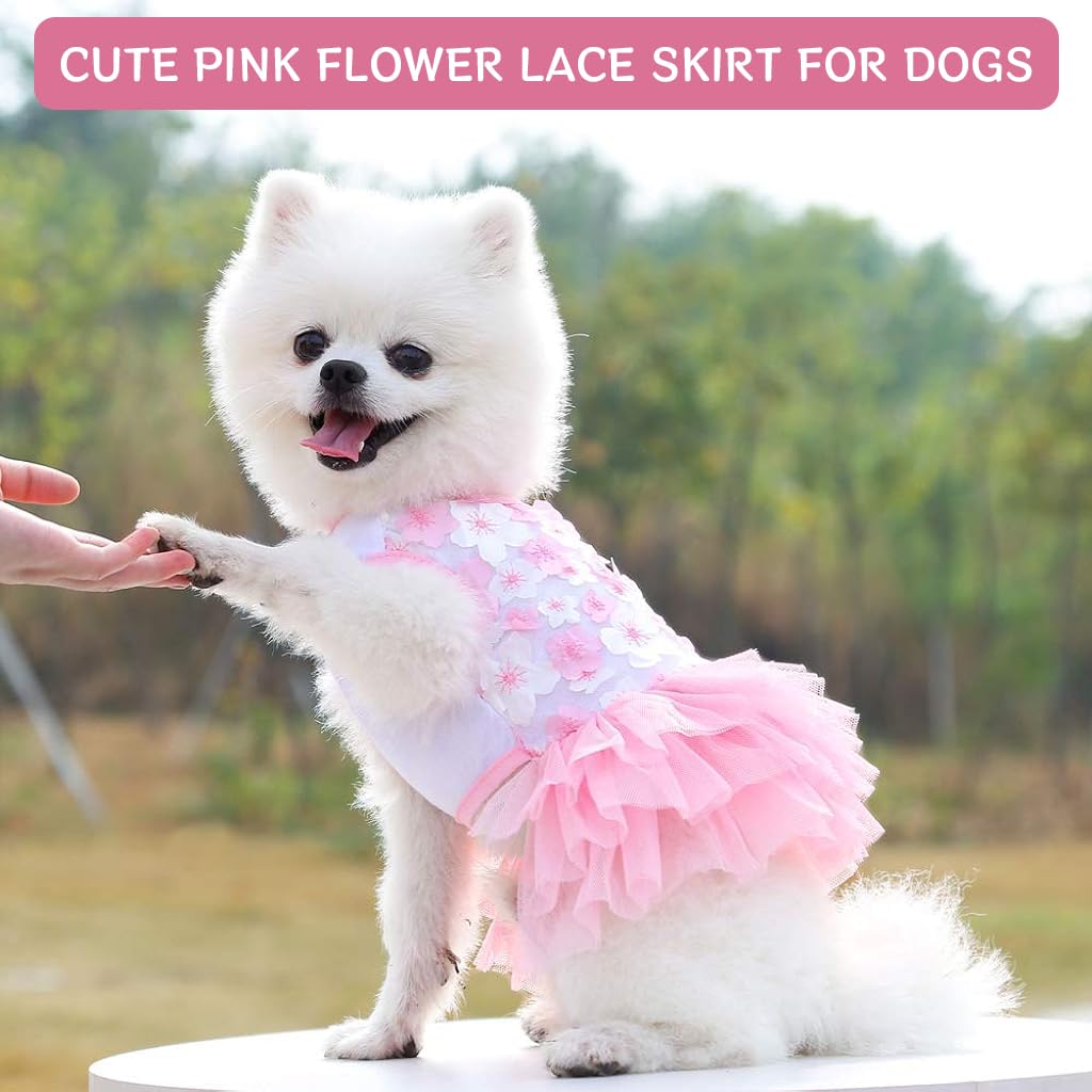 white christmas dresses Dog Summer dress Sewing Pattern main image 1