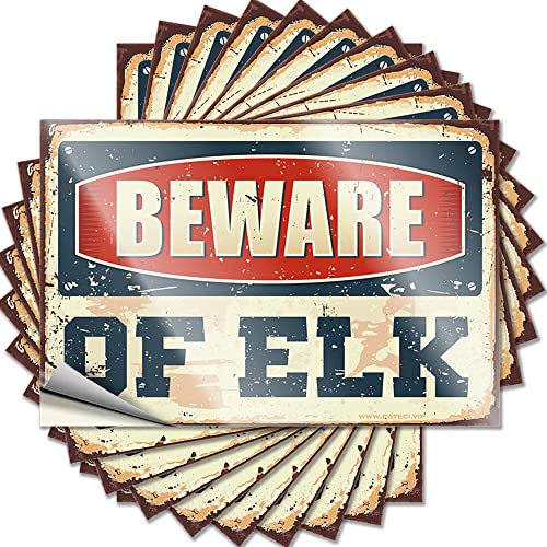 Tama Watch Meets Fairy Tale Meets Ver. Blue Japanese Ver.