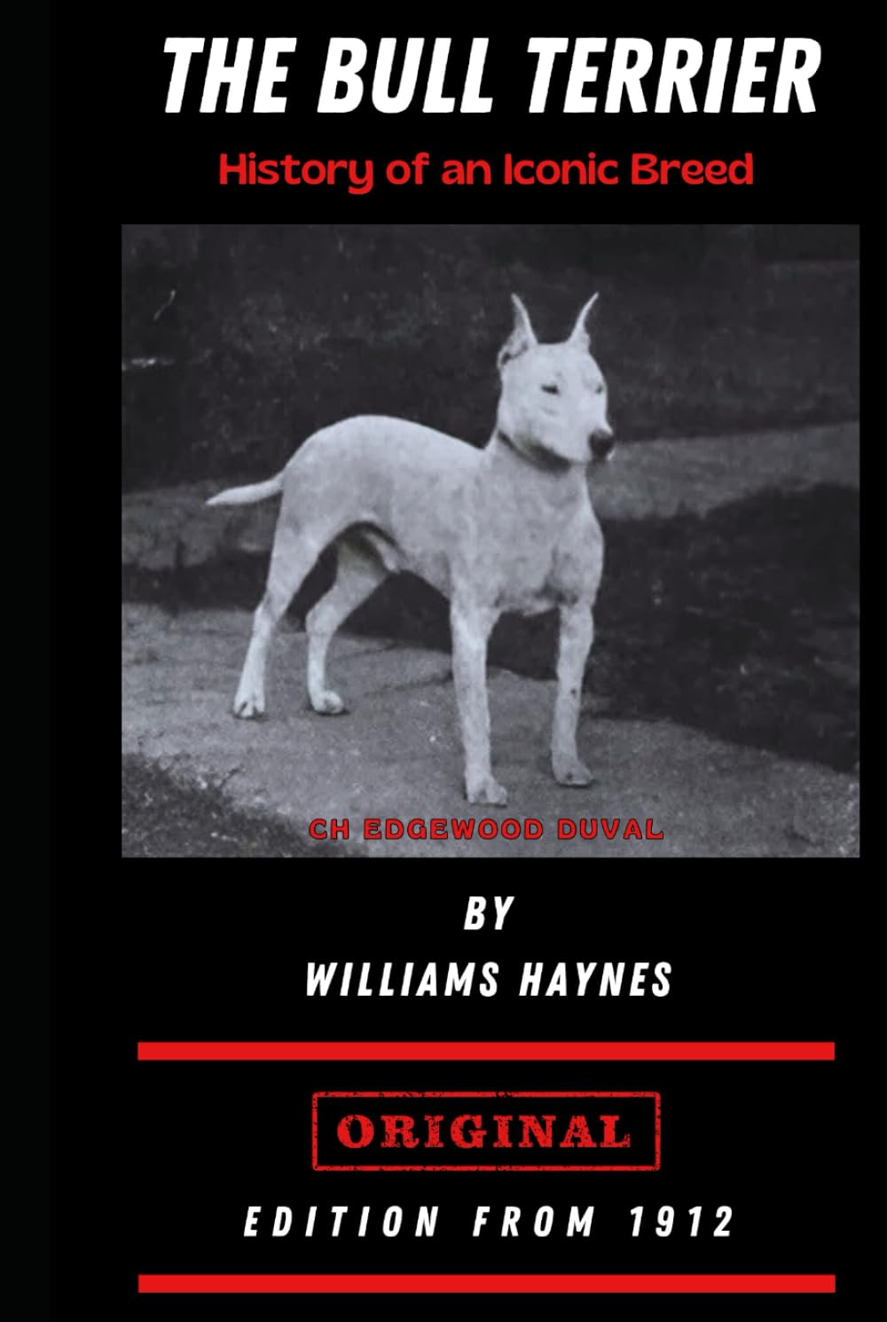 The Bull Terrier: History of an Iconic Breed