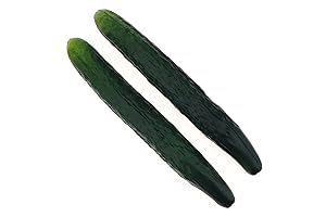 Gresorth Artificial Cucumber Toy