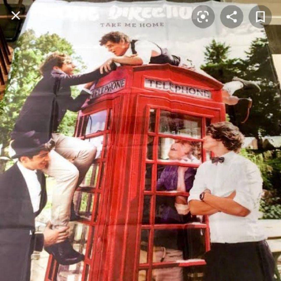 Amazon.co.jp: ワンダイレクション 1D ツアー グッズ フラッグ take me 
