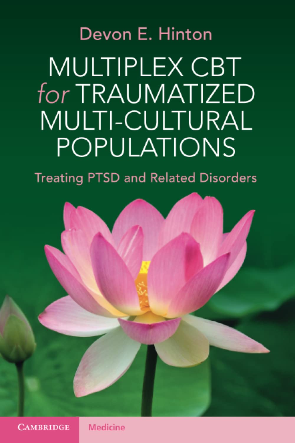 Multiplex CBT for Traumatized Multi-Cultural Populations: Treating PTSD and Related Disorders