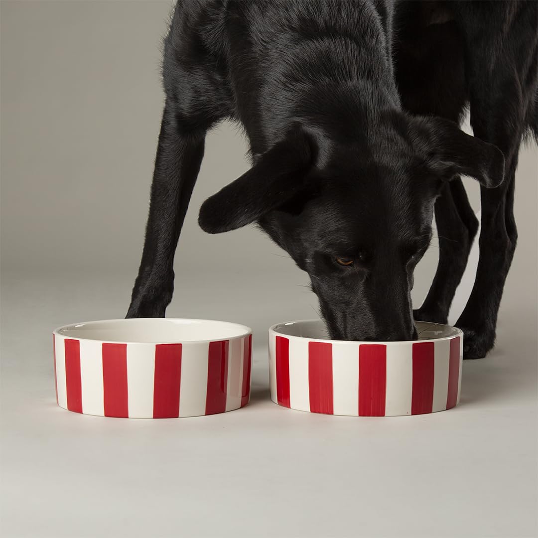 Amalfi Striped 2 Piece Dog Bowl Food & Water Bowl Set - Red - 19cm