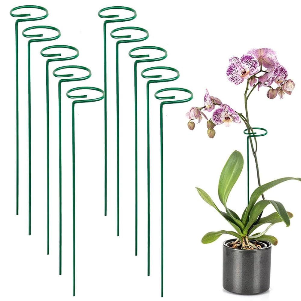 10 Pack 30CM Plant Support Stakes,Metal Single Stemmed Flower Support Hoops,Garden Plant Sticks Plant Support Ring Stakes for Indoor Outdoor Plant Flowers Amaryllis Tomatoes Young Tree