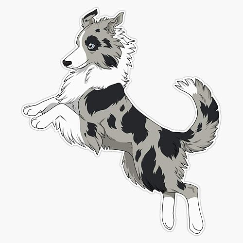 Border Collie - Calcomanía de vinilo impermeable para coche, laptop, pared, ventana, parachoques de 5 pulgadas