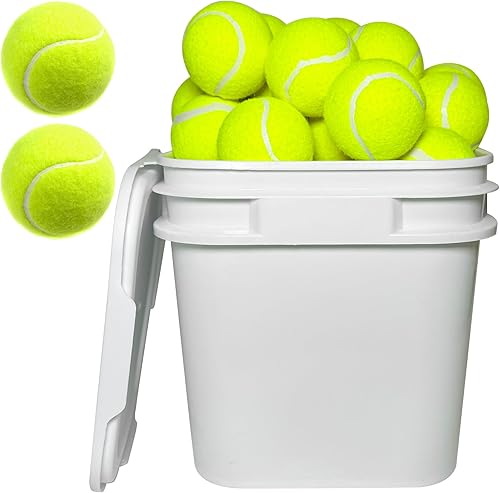 Paquete de 38 pelotas de tenis a granel para entrenamiento de tenis, juguetes para mascotas, entrenador, juego en interiores y exteriores, pelotas