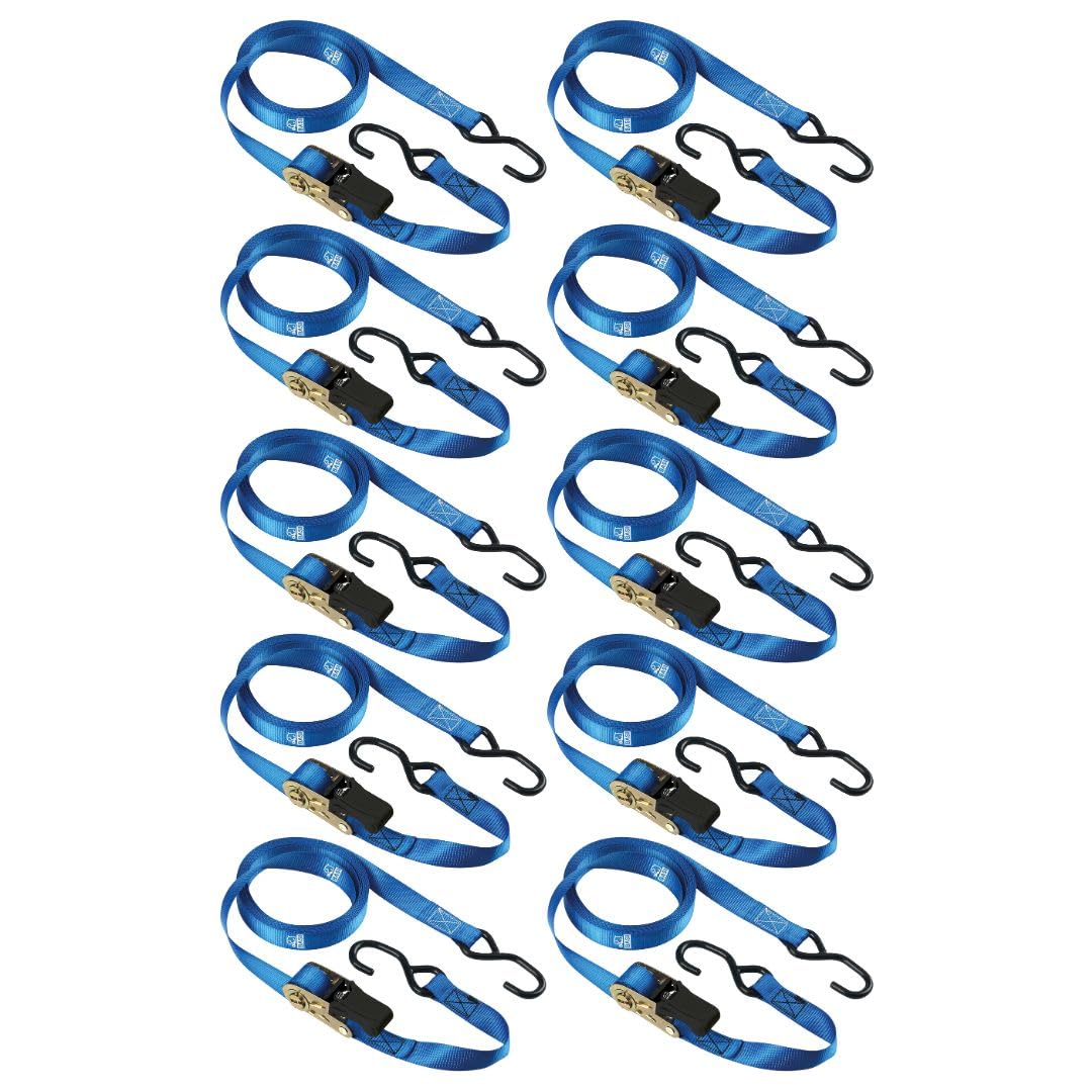 BASI | Set di 10 cinghie con cricchetto e gancio a S | 250 kg | cinghie di ancoraggio blu | lunghezza 500 cm x larghezza 2,5 cm | fusibile di sicurezza per il trasporto | cinghia a cricchetto