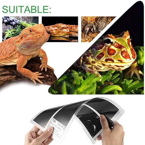 Miniatura 5 de Almohadilla térmica de reptiles con ajuste de temperatura, tapete térmico de 110 V 7 W para reptiles, tortugas, serpientes, lagartos, gecko