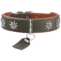 HUNTER Collare per cani MÜNCHEN Colore: verde/cognac, pelle