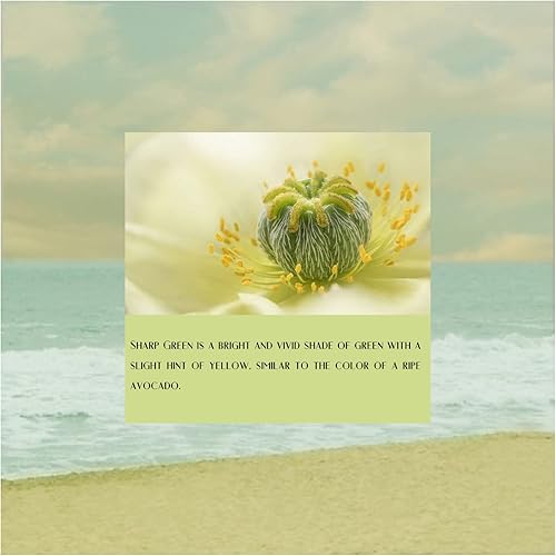 Miniatura 7 de Metronic Sobres grandes de polietileno de 19 x 24 pulgadas, 100 unidades, bolsas de envío fuertes y adherentes para ropa, bolsas impermeables para