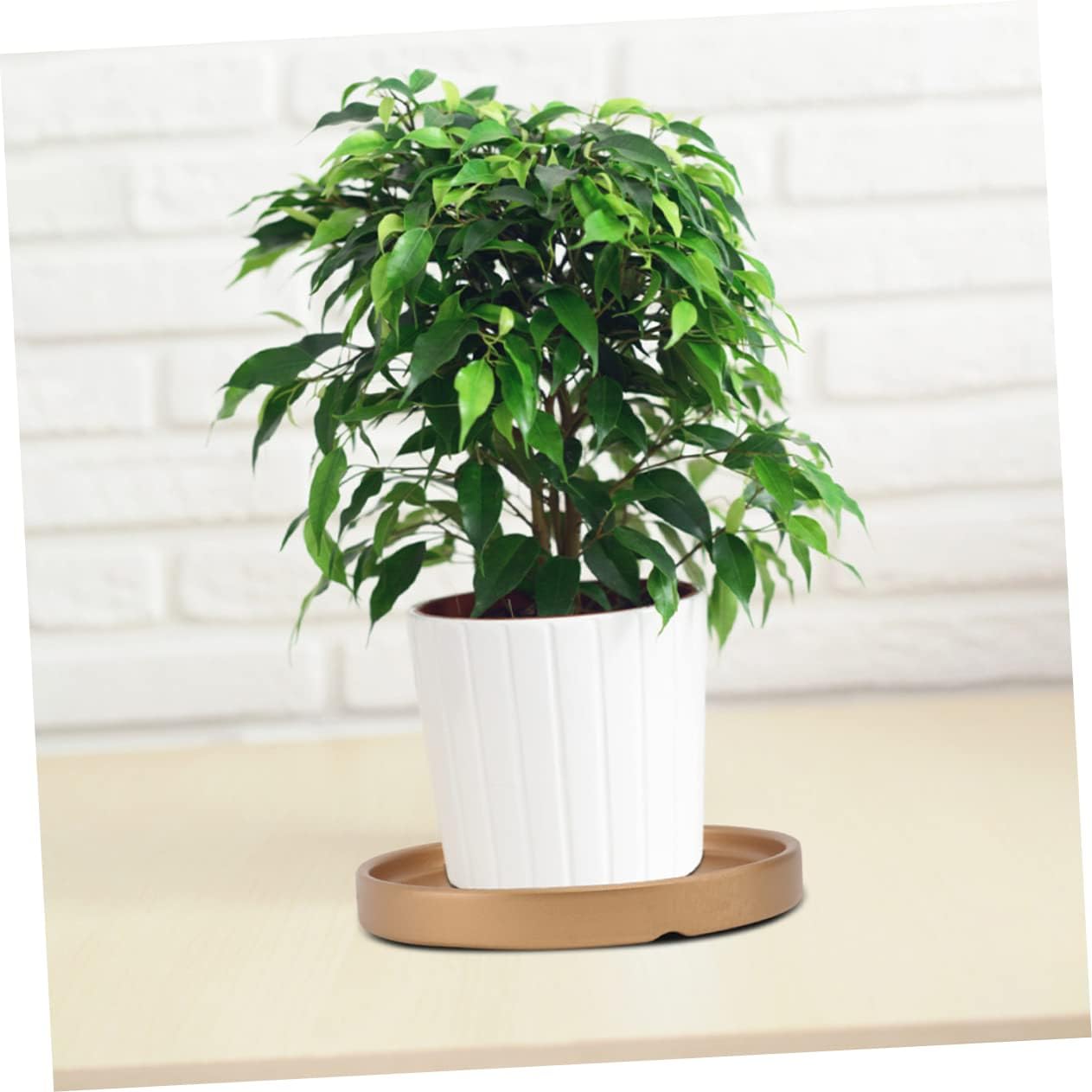 3Pcs Round Ceramic Flower Pot Trays Plant Saucer for Use Prevents Water Leakage Keeps Floors Clean for Gardening Home Decoration