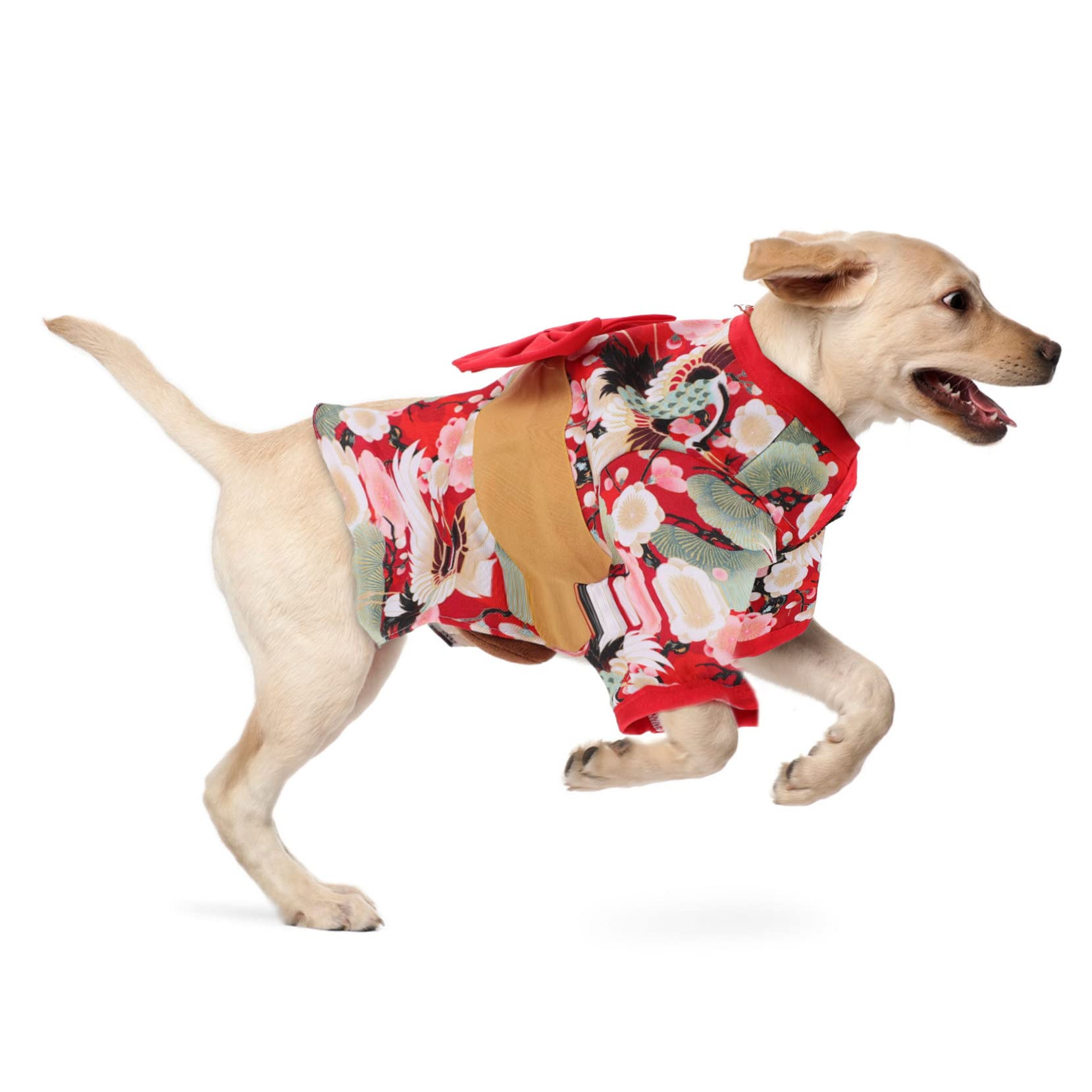 SMALLLEE_LUCKY_STORE Kerst hondenjurk voor kleine honden meisjes, rendier kerst huisdier rok met strik, zacht puppy kostuum vakantie festivals chihuahua Yorkie kat kleding, S SMALLLEE_LUCKY_STORE Kerst hondenjurk voor kleine honden meisjes, rendier kerst huisdier rok met strik, zacht puppy kostuum vakantie festivals chihuahua Yorkie kat kleding, S