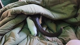 Review Image by Kat Kat