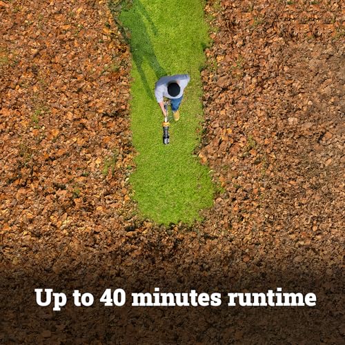 WORX Nitro 40V WG585 Cordless Leaf Blower