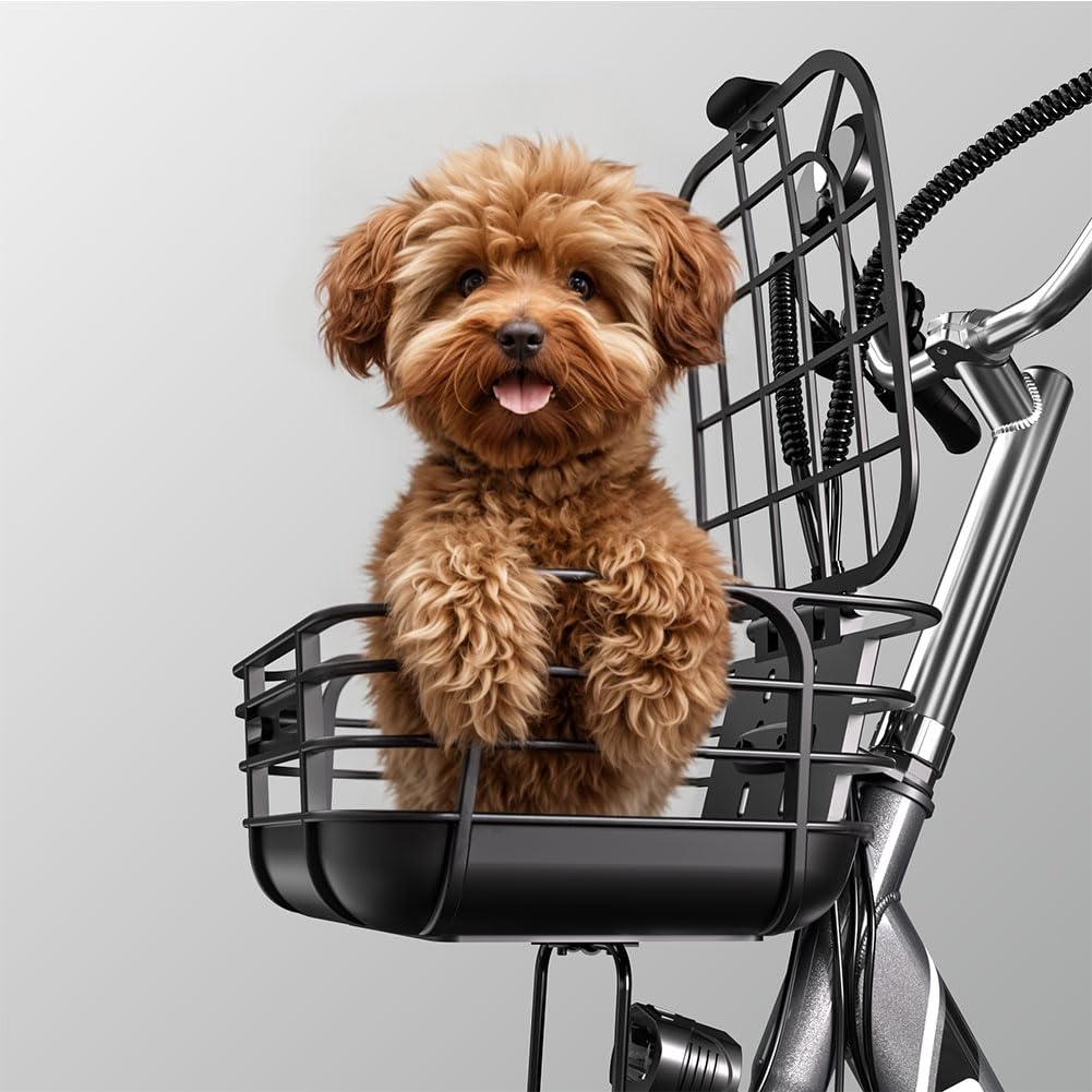 Cysum Tricycle Électrique Pliable, Tricycle E-Bike 16 pouces pour adultes homme femme, vélo électrique de charge, batterie 48 V 22 Ah, vélo électrique à 3 roues