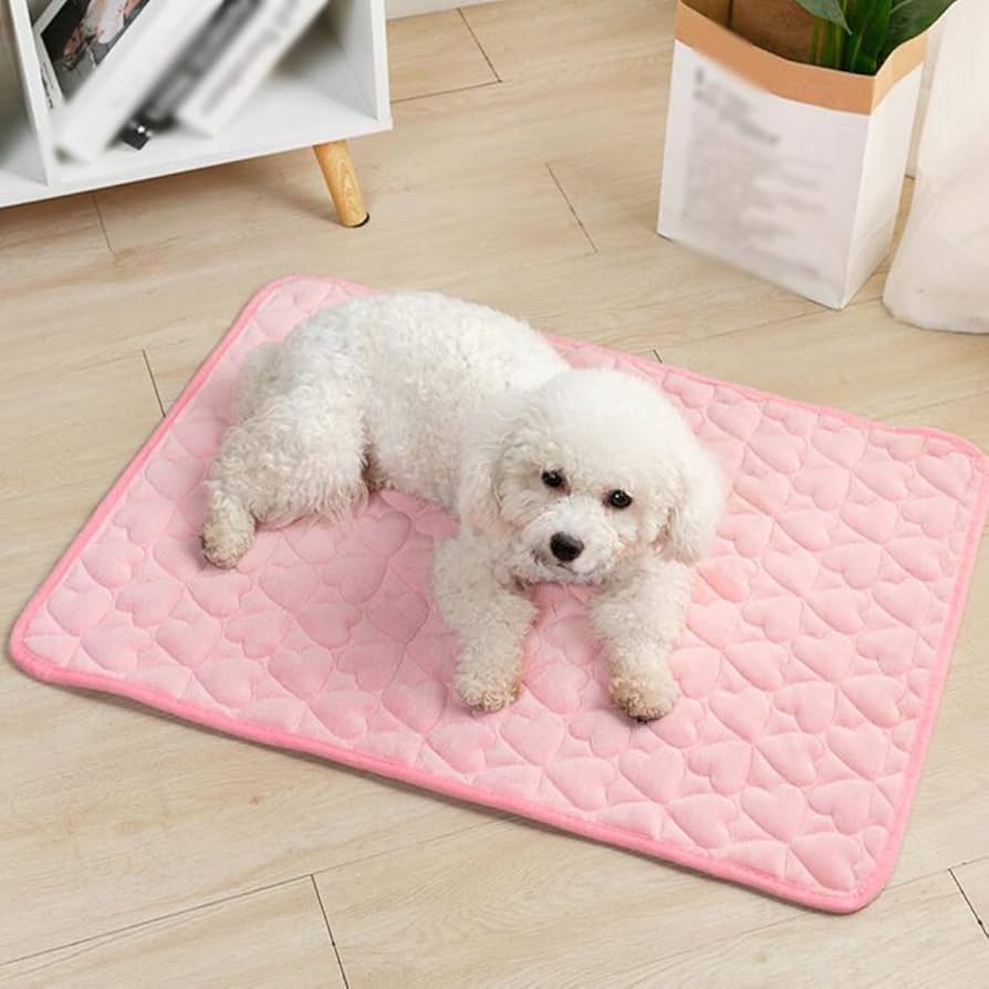 ペット吸水シート　シーツ　エコ　おしっこ　2枚組　犬　猫　トイレトレーニング 楽天市場】【お得な2枚組】 ペットシーツ 布 洗える 犬 猫